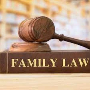 Family court lawyers in sonipat