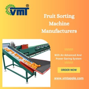 Fruit sorting machine manufacturers