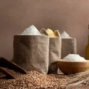 Best roller flour mill in india
