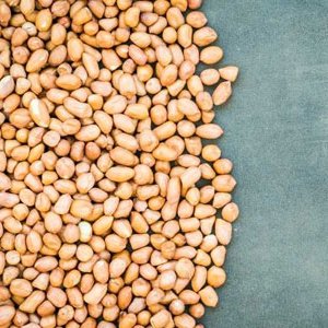 Peanut exporter and supplier india - dhanraj enterprise