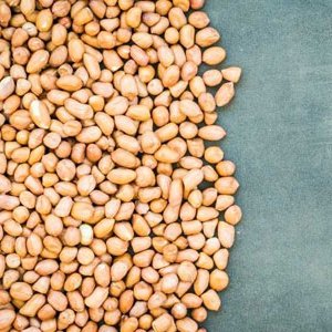 Peanut exporter and supplier india - dhanraj enterprise