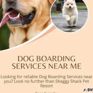 Dog Boarding Services Near Me