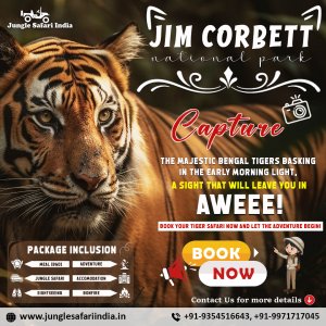 Book Corbett fun tour with  2 jeep safari