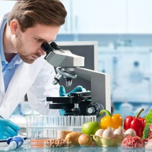 Elevate your Food Quality: EKO TESTING LABS 