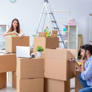 Packers and movers indirapuram - state cargo packers & movers