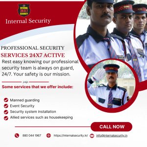 Best security agency in india