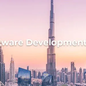 Travel software development