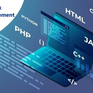 How to become a full stack developer in 2024 ?