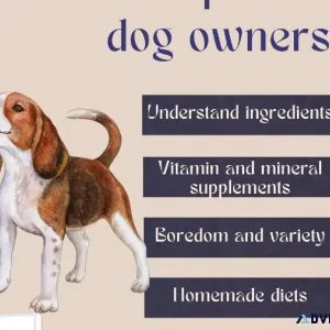 Perfect guide for imperfect dog owners