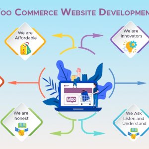 Web development bangalore