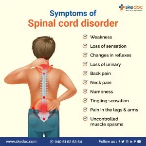 Best spine surgeon in hyderabad | spine doctor | skedoc