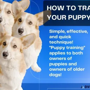 How To Train Your Puppy