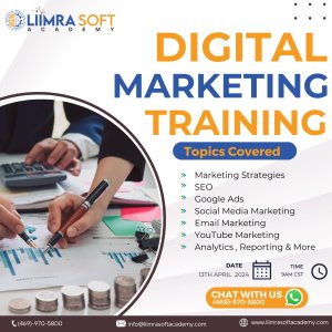 Learn Digital Marketing with Liimrasoft Academy