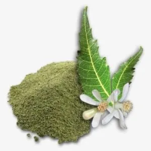 Organic neem leaf powder | buy neem leaves online