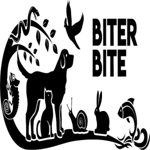 Expert tips and advice: your complete pets information resource