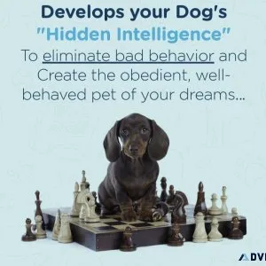Develops your Dog s &quotHidden Intelligence&quot