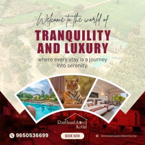 Best hotels in ranthambore national park