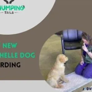 New Rochelle Dog Boarding