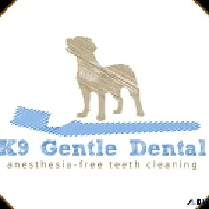 Affordable Canine Dental Cleanings - Book Now