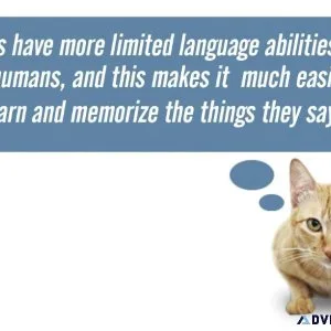 The Cat Language Bible