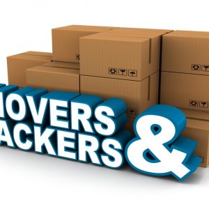 Movers and packers madhu vihar - state cargo packers & movers