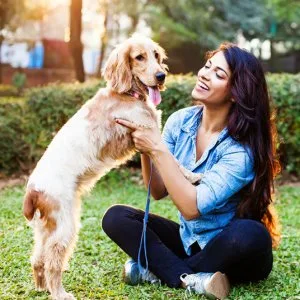 Dog hostel: activities and playtime
