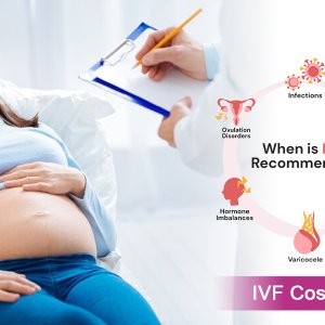 Exploring the ivf cost in india - low cost ivf treatment