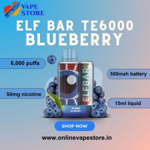 Elf bar te6000 blueberry