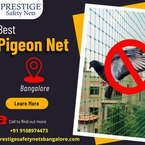 Buy now pigeon safety nets in bangalore with best price