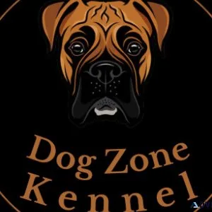 Puppies For Sale In Gurgaon