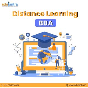 Bba through distance education in india 2024