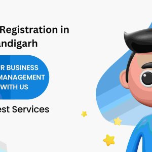 Company registration in chandigarh