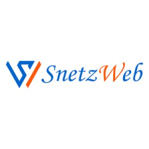 Best website design company in ahmedabad | snetzweb