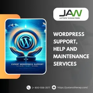 Seamless wordpress support with an expert service