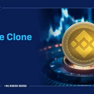 Binance clone script development