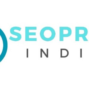 Professional seo services - seo pros india