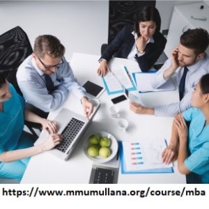 Top mba in international business colleges in india