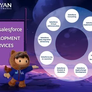 Salesforce development services