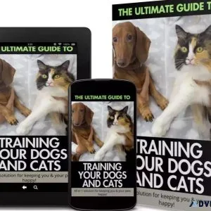 UNLOCK THE SECRETS OF PERFECT PET TRAINING