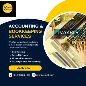 Best accounting services in delhi