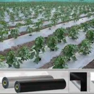 Agricultural mulch film