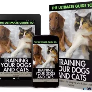 All in one Ultimate Guide to training your dogs and cats