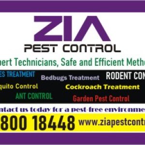 Bedbug treatment | ant and general pest control service | 1822
