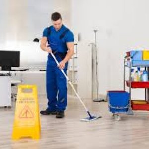 Boca raton & surrounding areas: sparkling clean guaranteed
