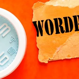 Wordpress development services in ahmedabad