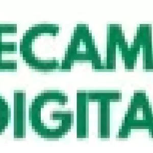 Online digital marketing course