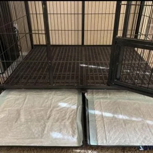 Extra large dog kennel
