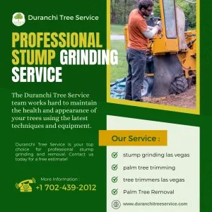 Duranchi tree service