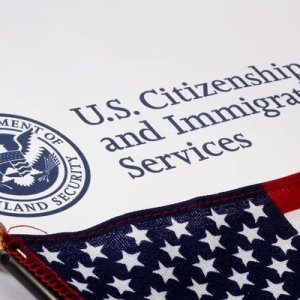 Best immigration services in zirakpur