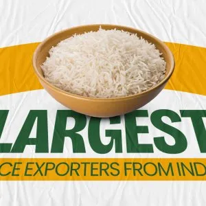 Organic basmati rice manufacturers in india